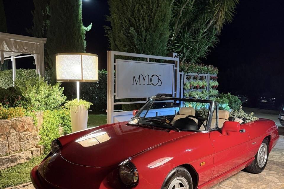 Alfa spider