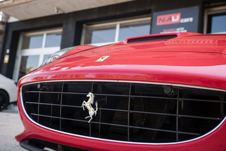 Griglia_anteriore_rossa_lusso
