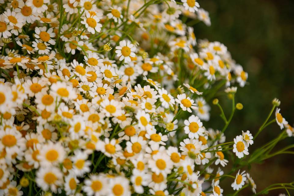 Floreale con Fiori di Campo