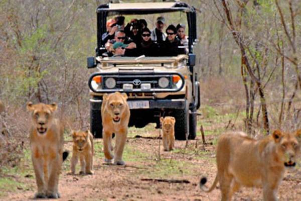 Kruger Park - Sudafrica