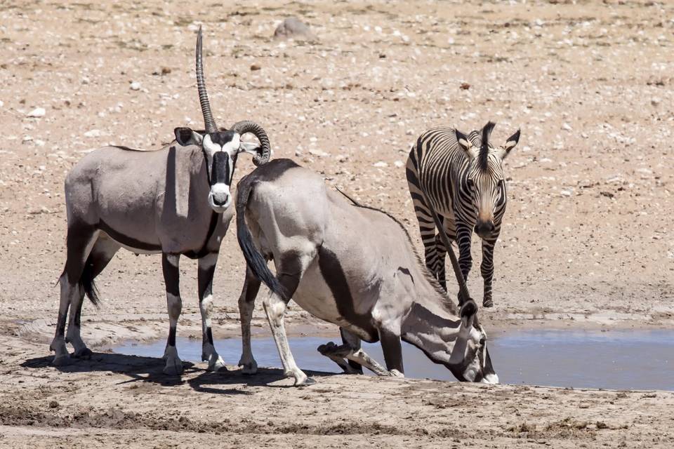 Namibia - Nozze Sara e Luca