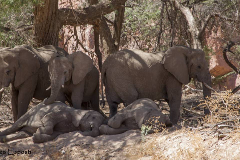 Namibia - Nozze Sara e Luca