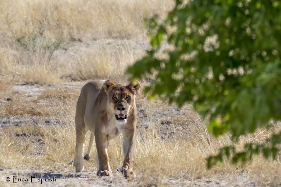 Namibia - Nozze Sara e Luca