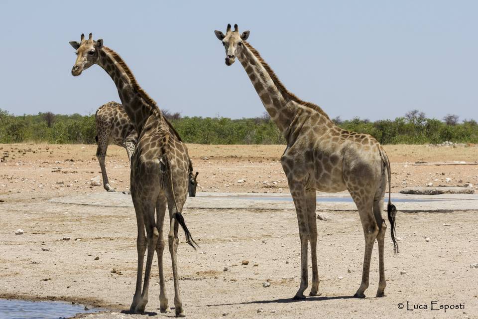 Namibia - Nozze Sara e Luca