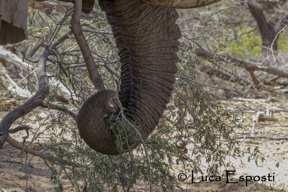 Namibia - Nozze Sara e Luca