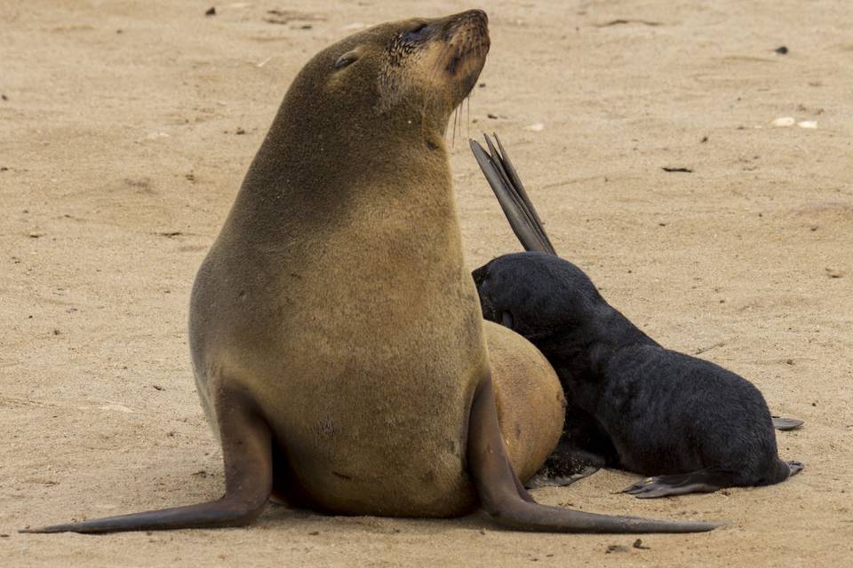 Namibia - Nozze Sara e Luca