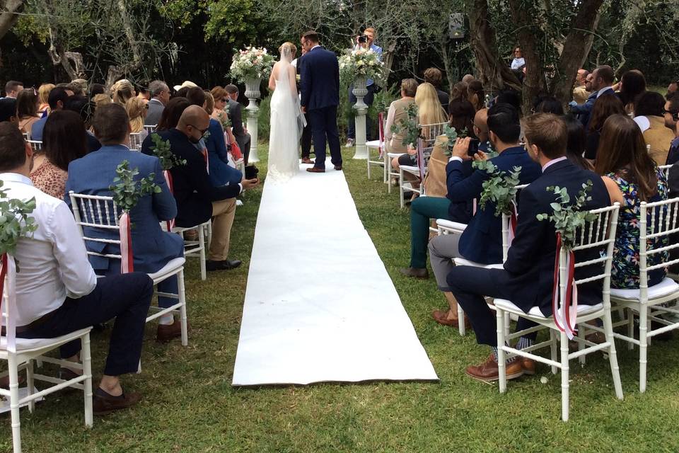 Olive grove wedding ceremony