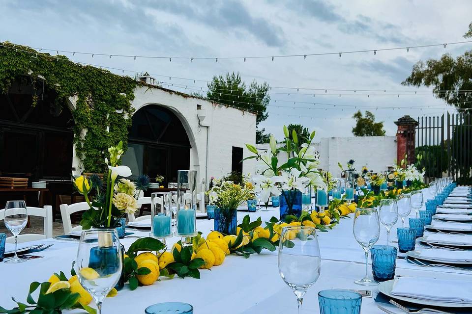 Sara D'Errico Events