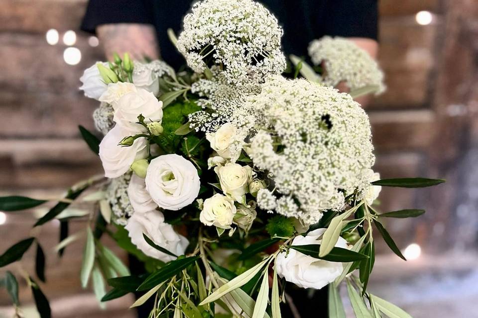 Sara D'Errico Events