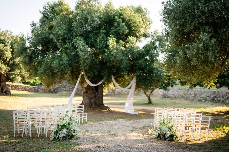 Sara D'Errico Events