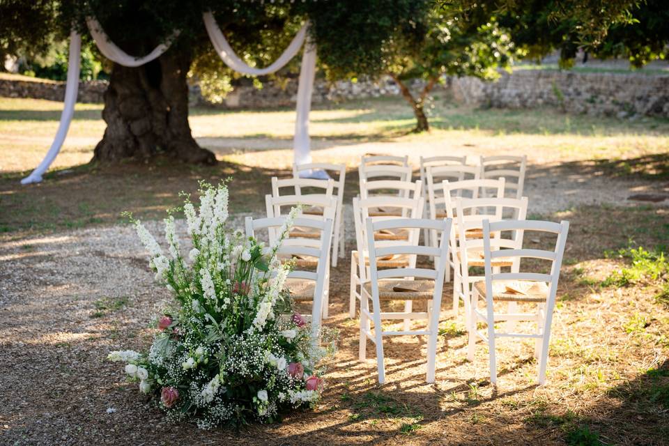 Sara D'Errico Events