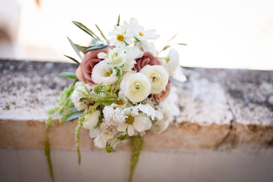 Sara D'Errico Events