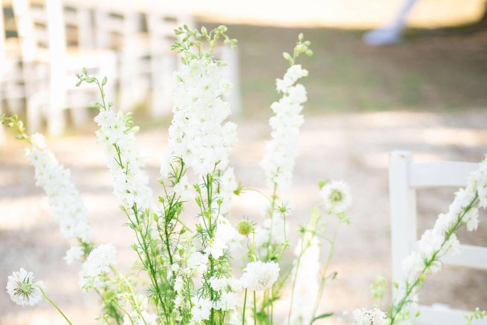Sara D'Errico Events