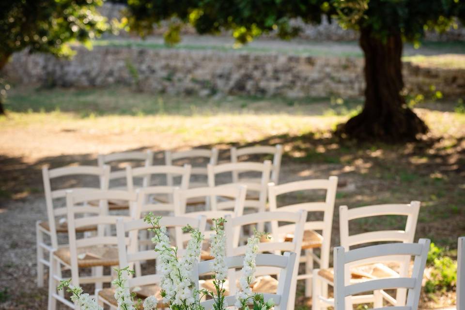 Sara D'Errico Events