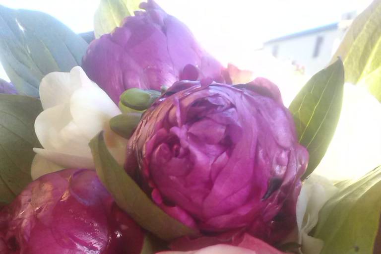 Peonie e rose.