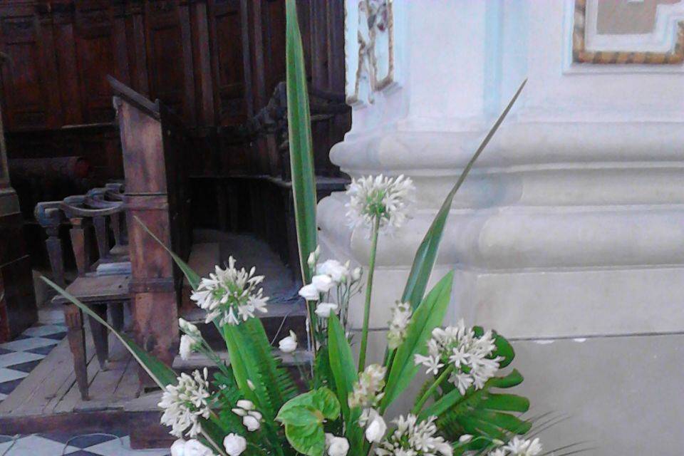 Piante e Fiori Parisi