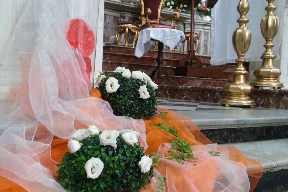 The cascade of orange flowers