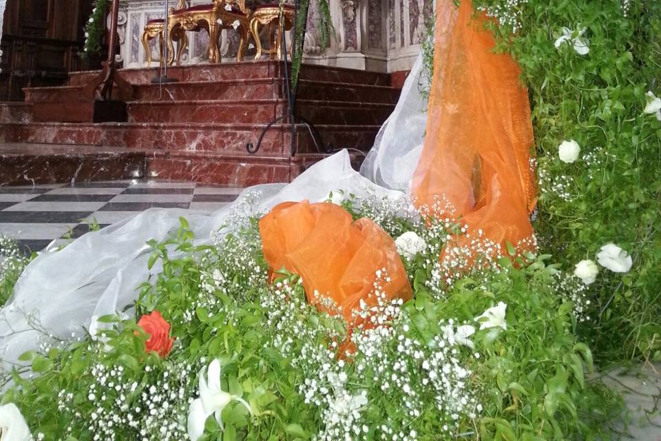 The cascade of orange flowers