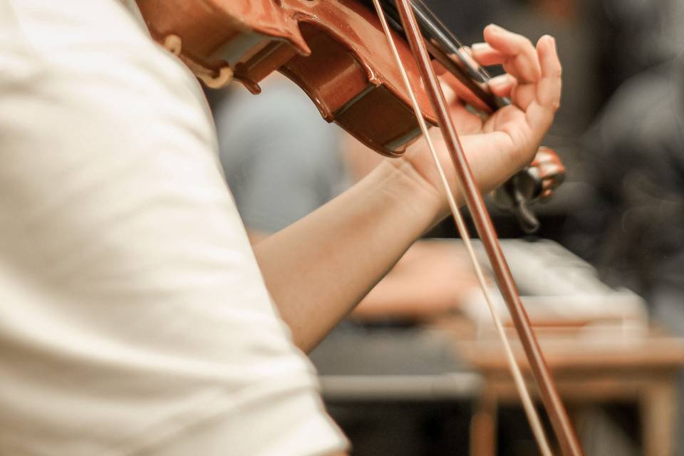 Violinista-Organista Torino