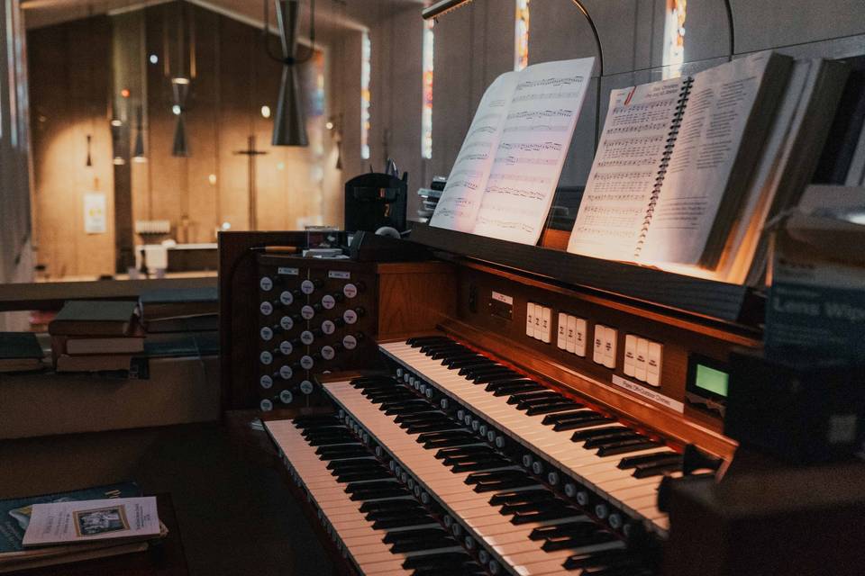 Violinista-Organista Torino