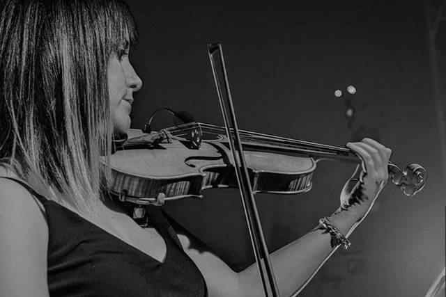 Violino
