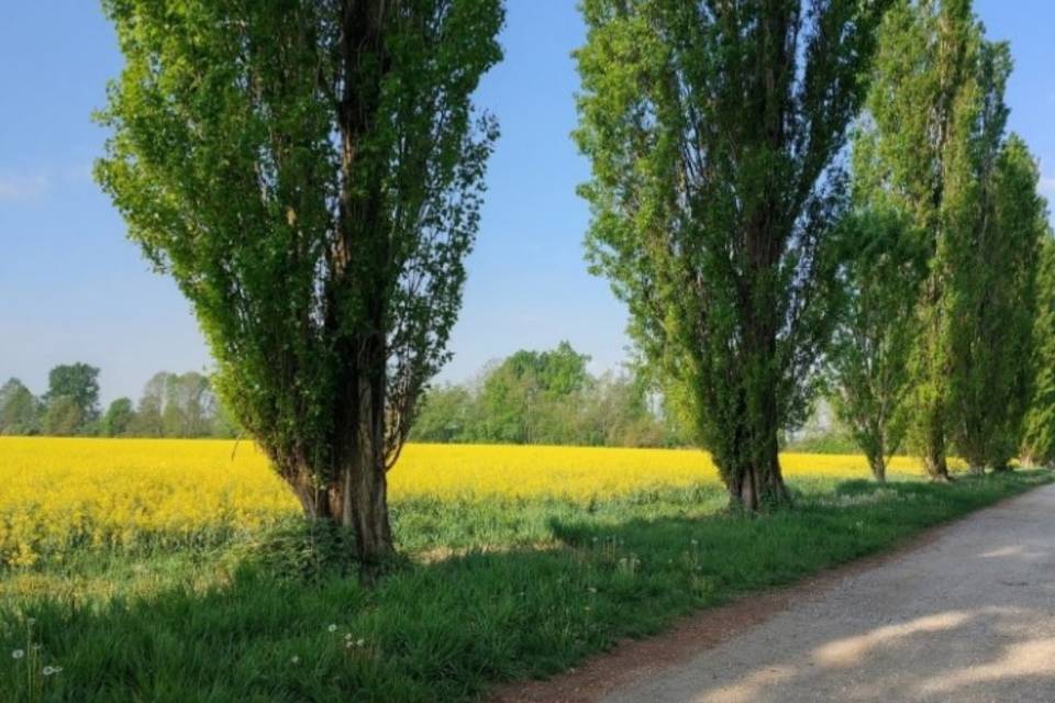 Cascina Fortepasso