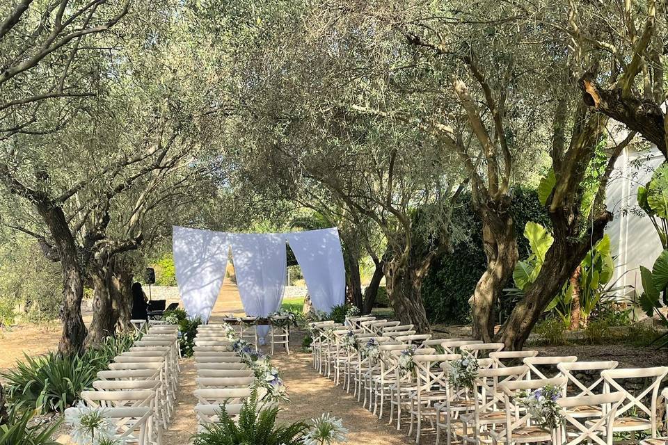 Melania Millesi Wedding Planner