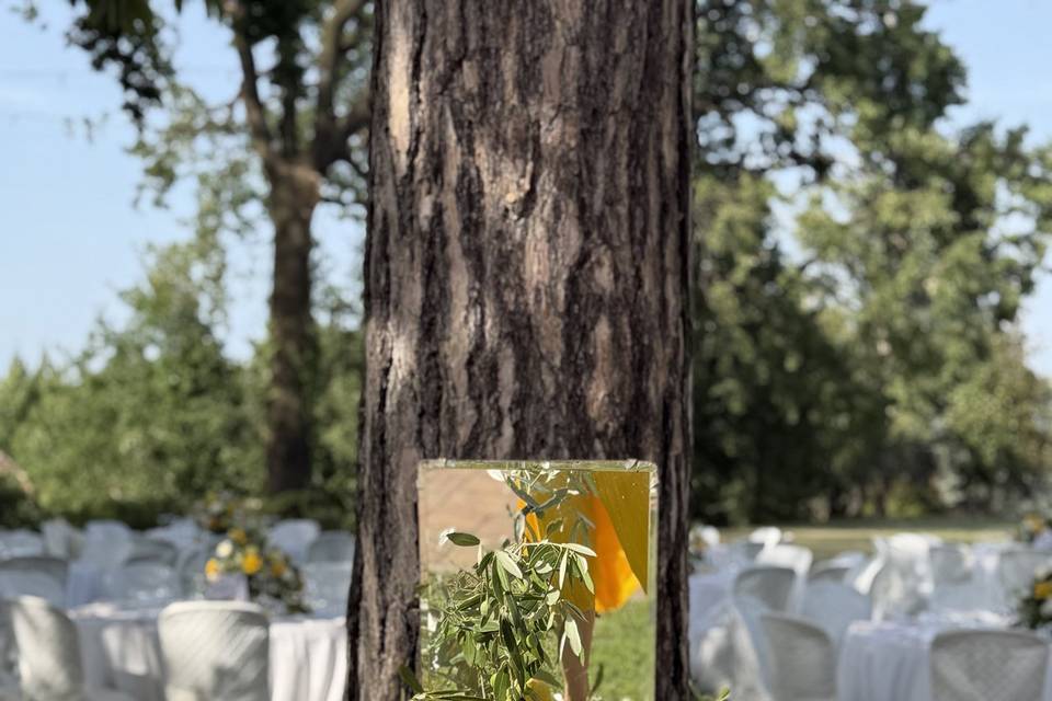 Decoro limoni