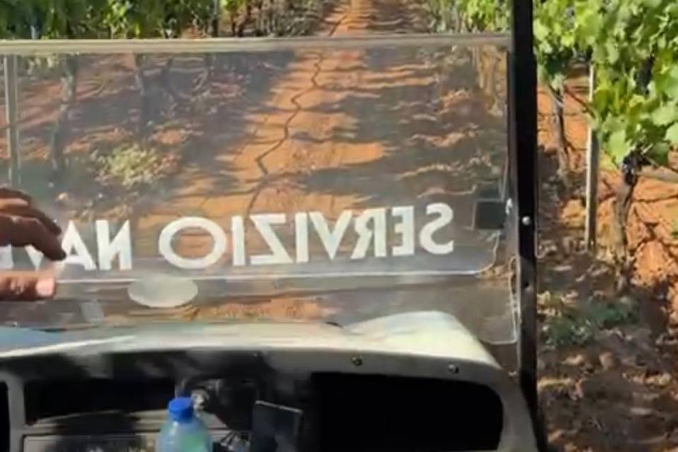 Tour nei vigneti in golf car