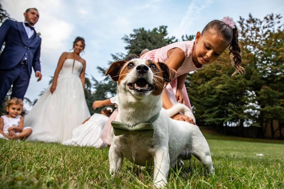 Alessandro Castiglioni Wedding