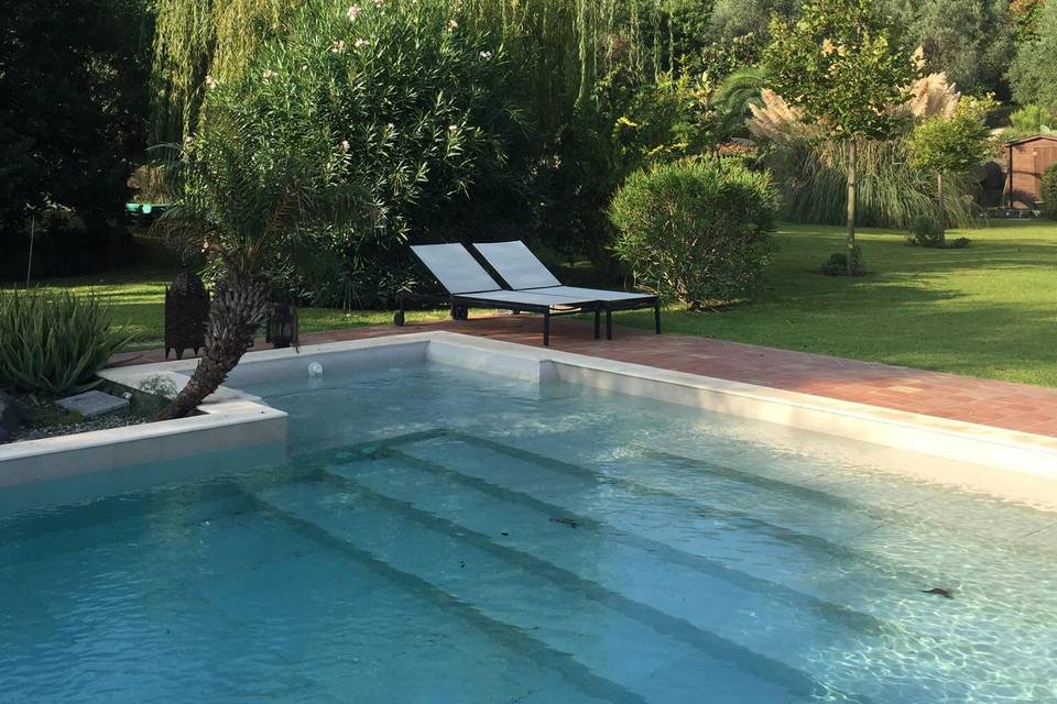 Piscina e giardino