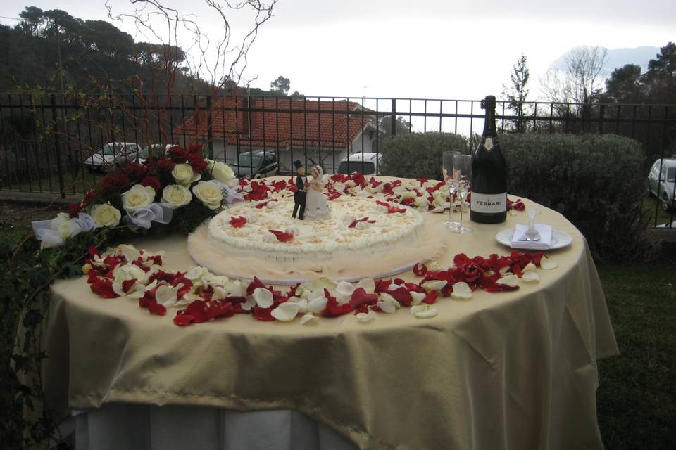 Taglio torta in giardino