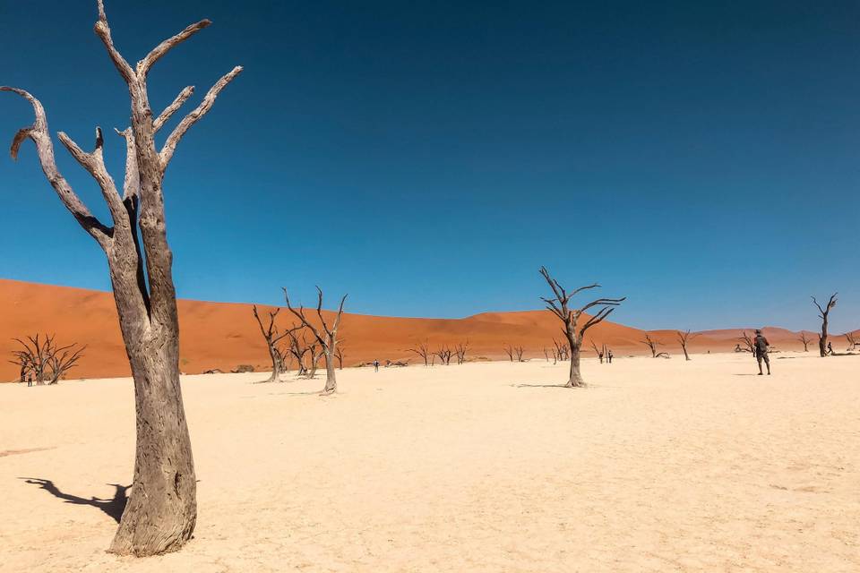 Namibia