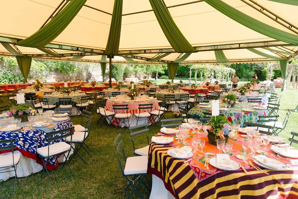 Table setting