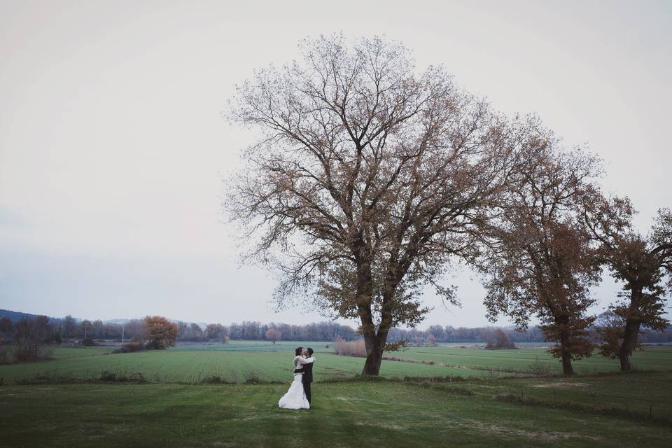 Pietro Tonnicodi Fotografo