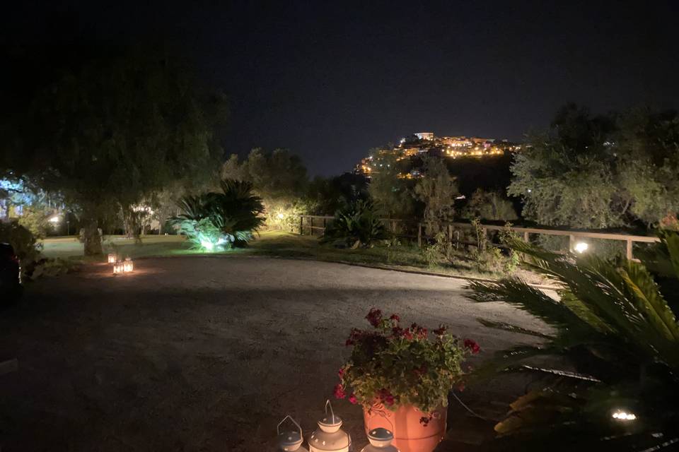 Giardino notturno