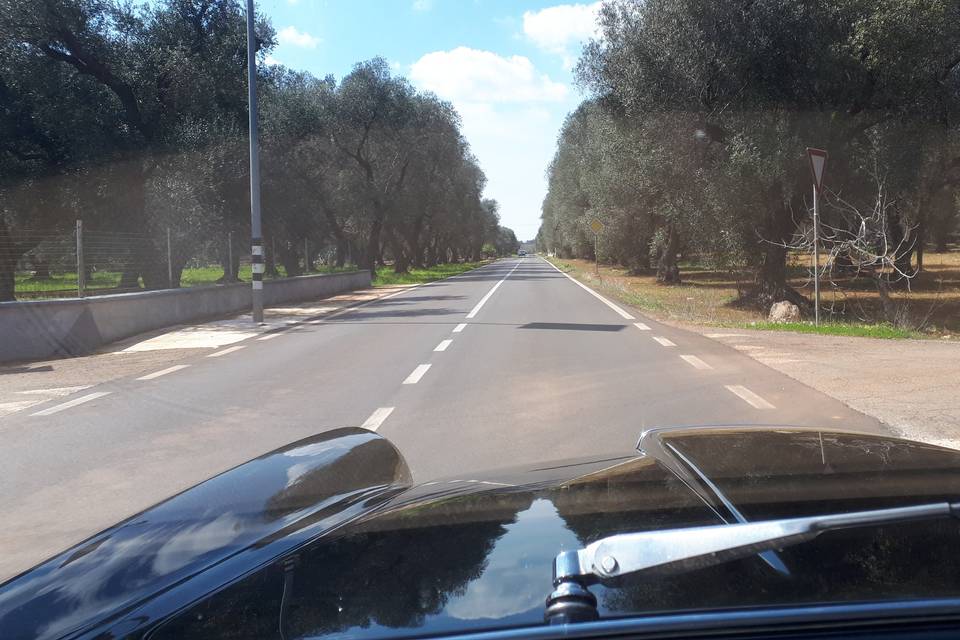 Lancia Flaminia 2.8