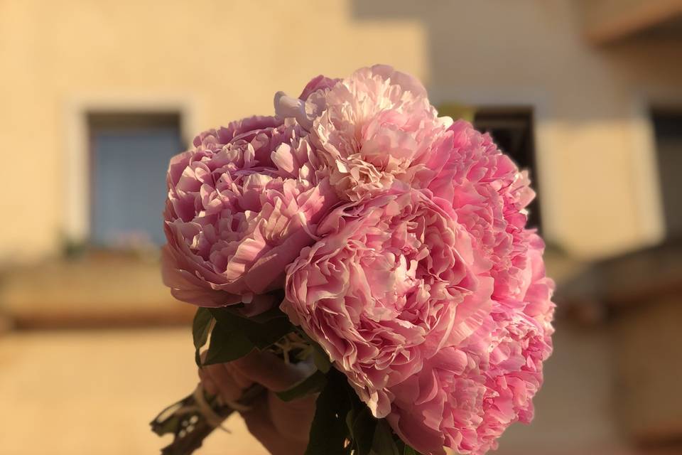 Bouquet peonie