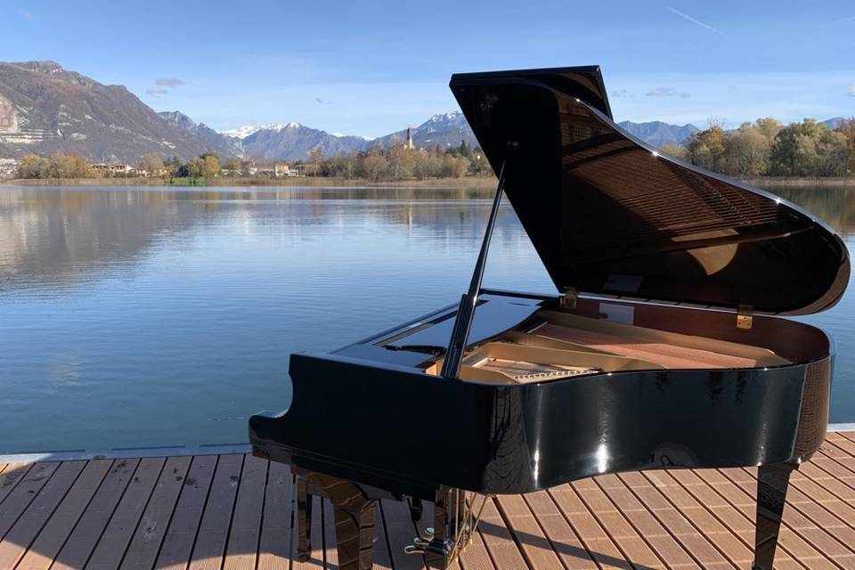 Pianoforte a coda