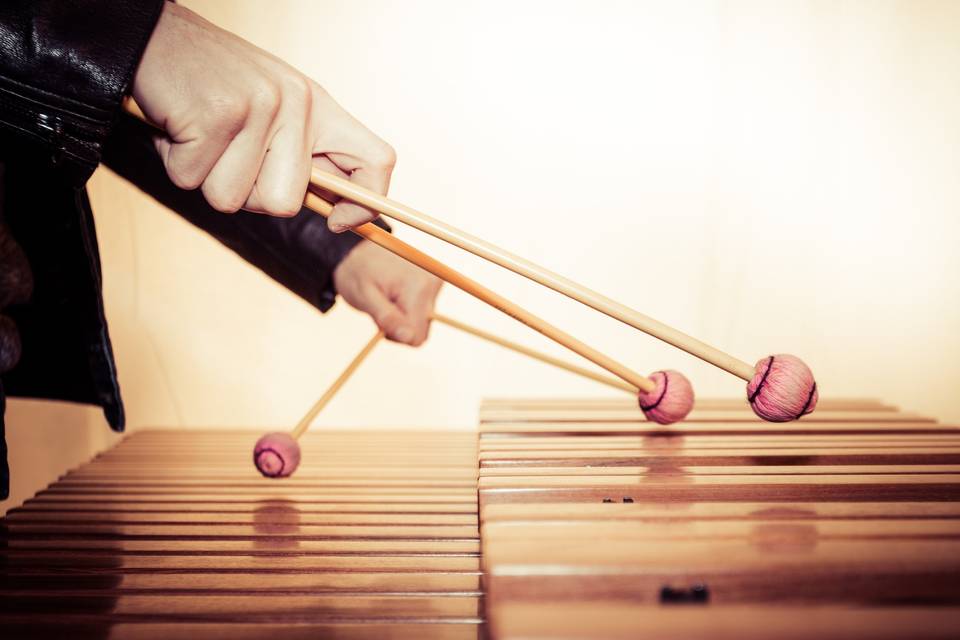 Marimba Emitional Music