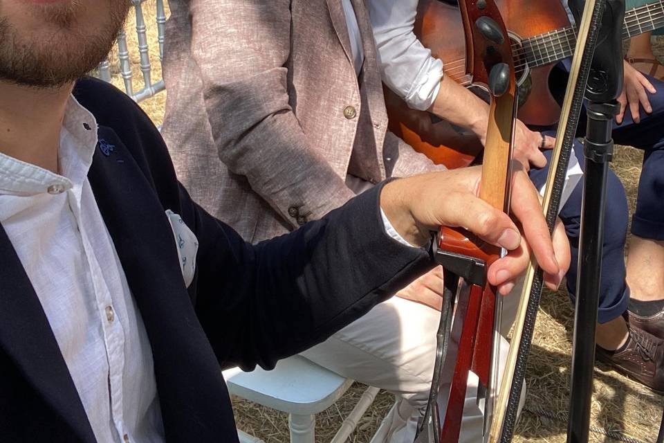 Bramby Violinista
