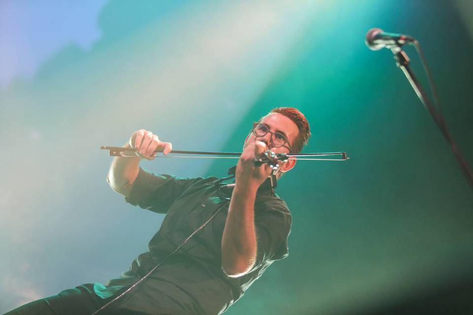 Bramby Violinista