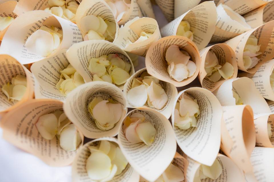 Conetti petali