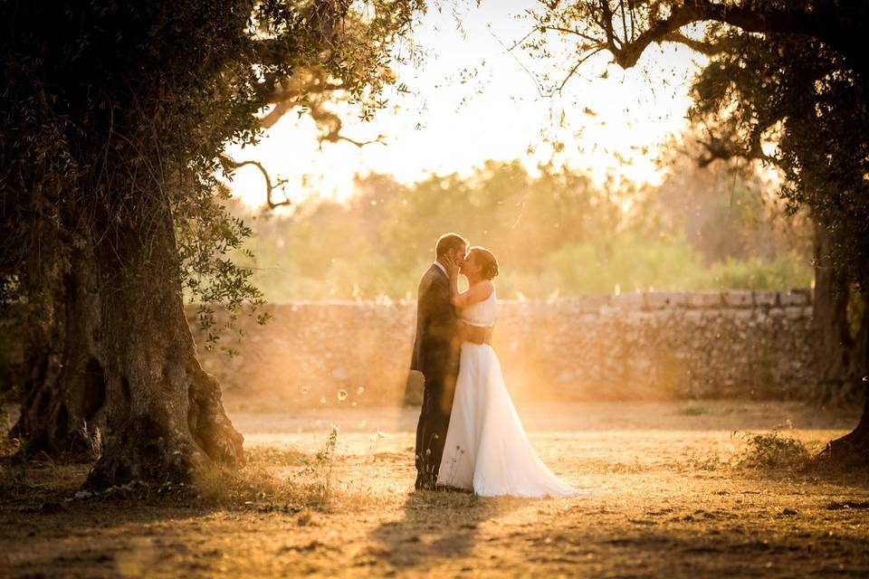 Bacio tra gli ulivi in Salento