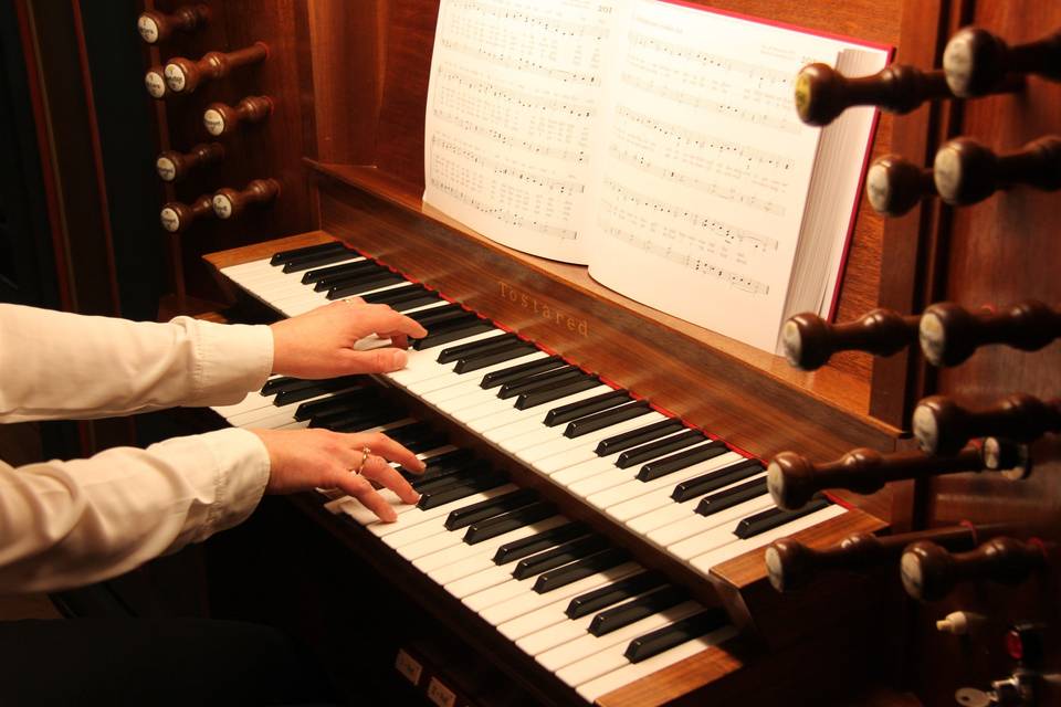 Pianista violinista Bergamo