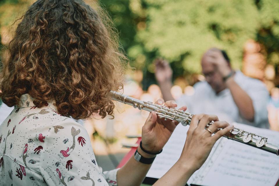 Pianista violinista Bergamo