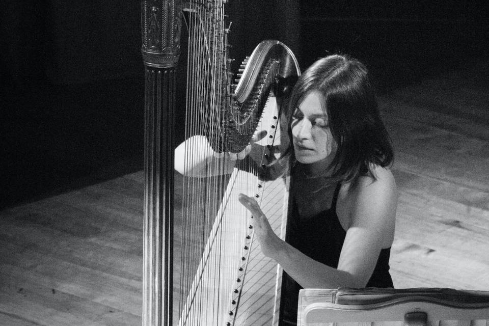 Pianista violinista Bergamo