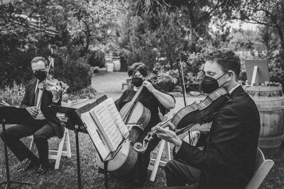 Pianista violinista Bergamo