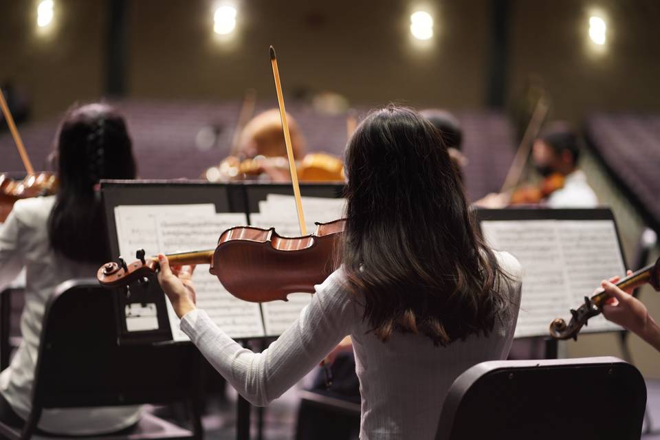 Pianista violinista Bergamo