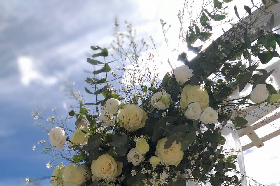 Artemisia Fiori